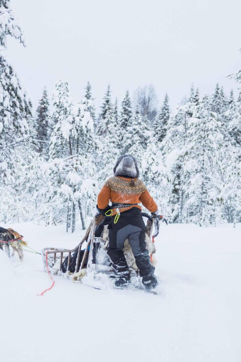 Rovaniemi: Husky Hugging and Sleigh Ride Adventure - Good To Know