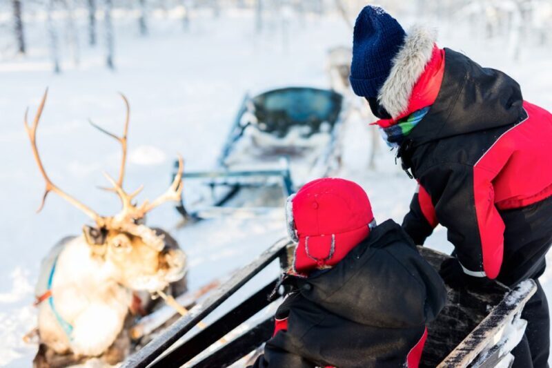Rovaniemi: Husky & Reindeer Experience with Snowmobile Ride - Who Would Love This Tour?