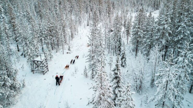 Rovaniemi: Husky Safari and Snowmobile Experience - Experience Highlights
