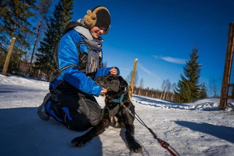 Rovaniemi: Husky Safari & Campfire BBQ 610 km SelfDrive - Good To Know