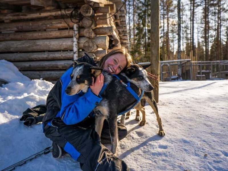 Rovaniemi: Husky Safari & Campfire BBQ 610 km SelfDrive - An In-Depth Look at the Husky Safari Tour