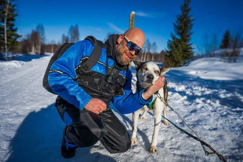 Rovaniemi: Husky Safari & Campfire BBQ 610 km SelfDrive - FAQ