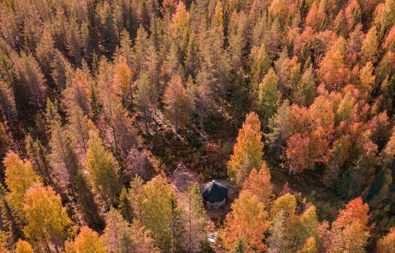 Rovaniemi: Husky Safari & Campfire BBQ 610 km SelfDrive - Who Is This Tour Best For?