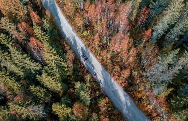 Rovaniemi: Husky Safari & Campfire BBQ 610 km SelfDrive - Final Thoughts