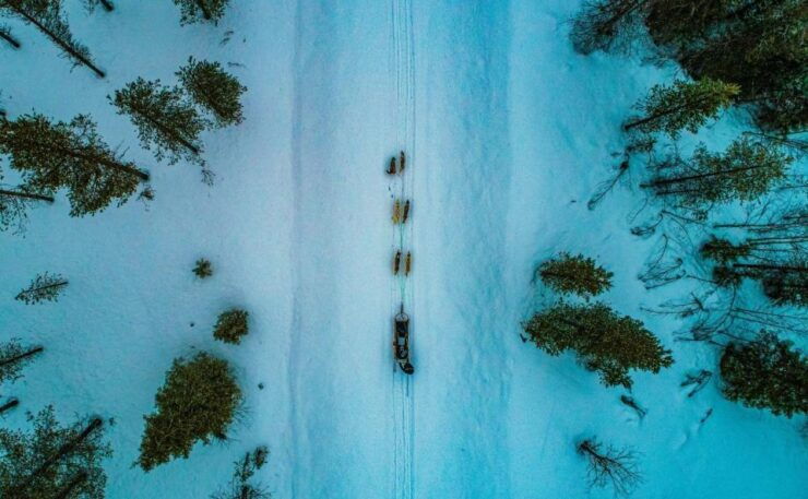 Rovaniemi: Husky Safari Tour & 6-10 Km Self-Driving Mushing - Experience Highlights