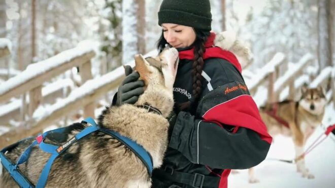 Rovaniemi: Husky Sled Ride and Farm Visit - Sled Ride Experience