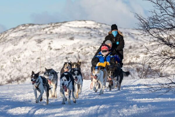 Rovaniemi: Husky Sled Ride and Farm Visit - Important Tour Information