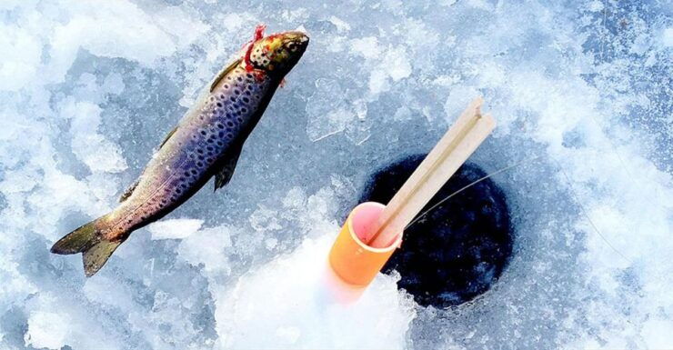 Rovaniemi: Ice Fishing and Sauna Trip With Lappish BBQ - Booking Information
