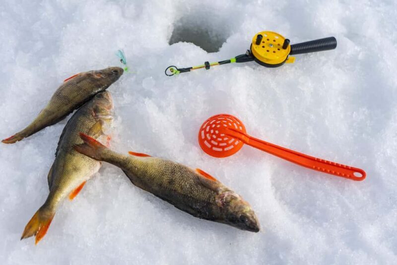 Rovaniemi: Ice Fishing, Private Sauna & Salmon Soup - The Ice Fishing Experience