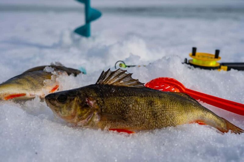 Rovaniemi: Ice Fishing, Private Sauna & Salmon Soup - Authenticity and the Guide’s Role
