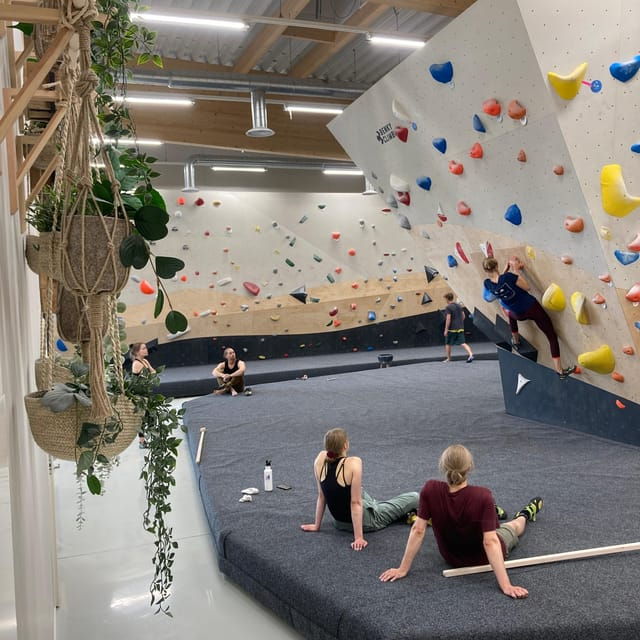 Rovaniemi: Indoor Climbing Experience with Instructor - Why This Experience Offers Value
