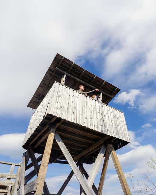 Rovaniemi: Insider Arctic Birdwatching Tour - Frequently Asked Questions