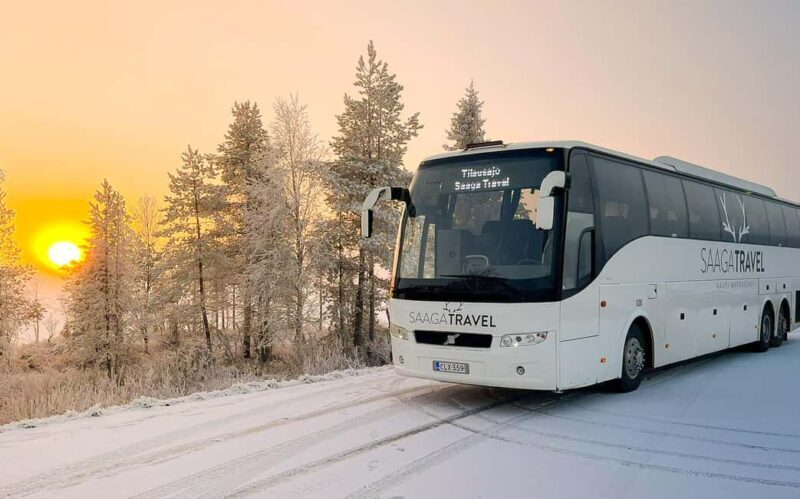 Rovaniemi: Insider Northern Lights Bus with Drinks & Snacks - Good To Know