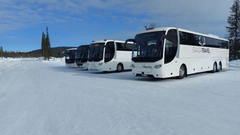 Rovaniemi: Insider Northern Lights Bus with Drinks & Snacks - Exploring the Northern Lights Bus Tour in Rovaniemi
