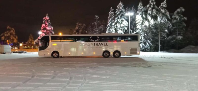 Rovaniemi: Insider Northern Lights Bus with Drinks & Snacks - Who Should Consider This Tour?