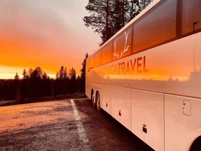 Rovaniemi: Insider Northern Lights Bus with Drinks & Snacks - Final Thoughts