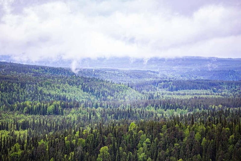 Rovaniemi: Korouoma Canyon and Auttiköngäs Falls Tour - Good To Know