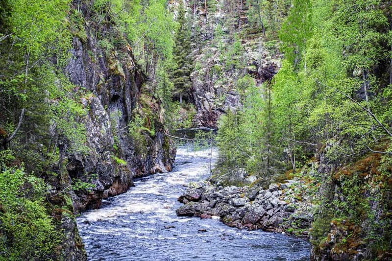 Rovaniemi: Korouoma Canyon and Auttiköngäs Falls Tour - A Deep Dive into the Experience