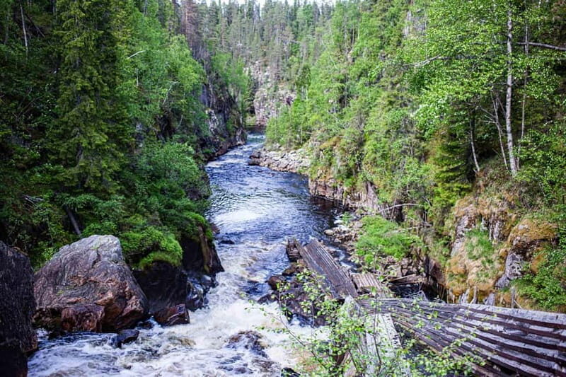 Rovaniemi: Korouoma Canyon and Auttiköngäs Falls Tour - Who Would Love This Tour?