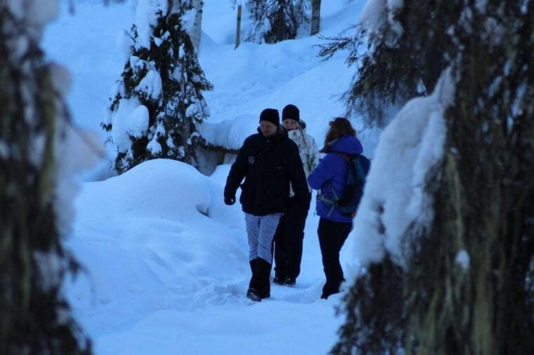 Rovaniemi: Korouoma Canyon Frozen Waterfalls Guided Hike - Why This Tour Works for You