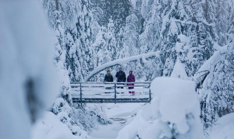 Rovaniemi: Korouoma Canyon Frozen Waterfalls Guided Hike - The Sum Up