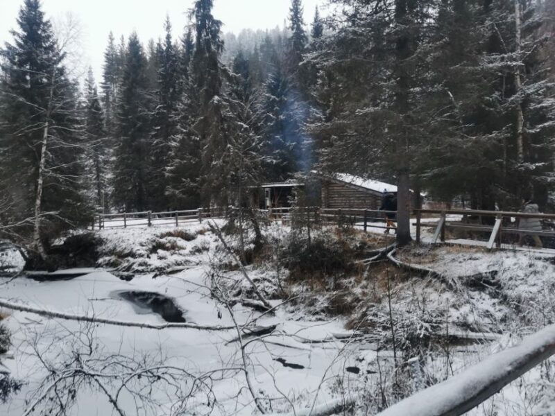 Rovaniemi: Korouoma Canyon Frozen Waterfalls Guided Hike - The Itinerary in Detail