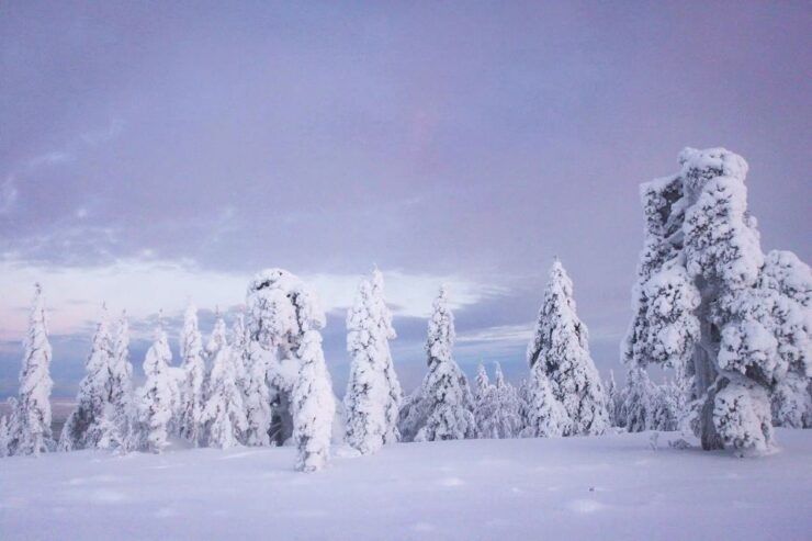 Rovaniemi: Korouoma Canyon & Frozen Waterfalls Tour - Tour Overview