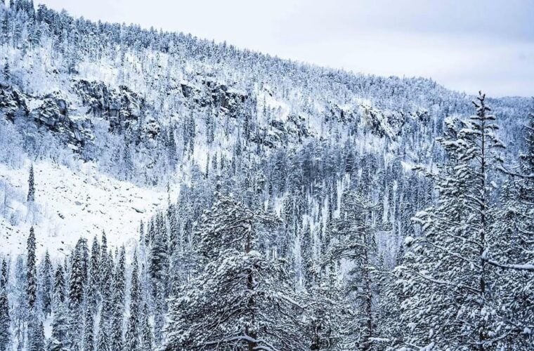 Rovaniemi: Korouoma Canyon & Frozen Waterfalls Tour with BBQ - The Frozen Waterfalls & Icicles