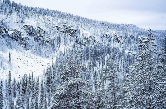 Rovaniemi: Korouoma Canyon & Frozen Waterfalls Tour with BBQ - Authentic Experience & Cultural Touches