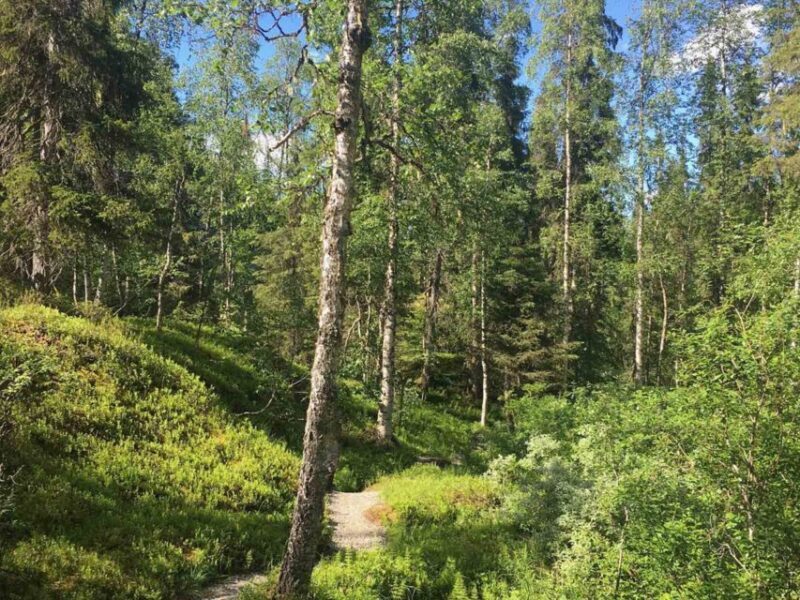 Rovaniemi: Korouoma Canyon Hike and Barbecue Experience - Good To Know