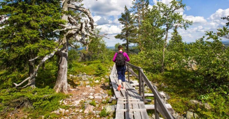 Rovaniemi: Korouoma Canyon Hike and Barbecue Experience - Exploring Korouoma: An Authentic Finnish Wilderness