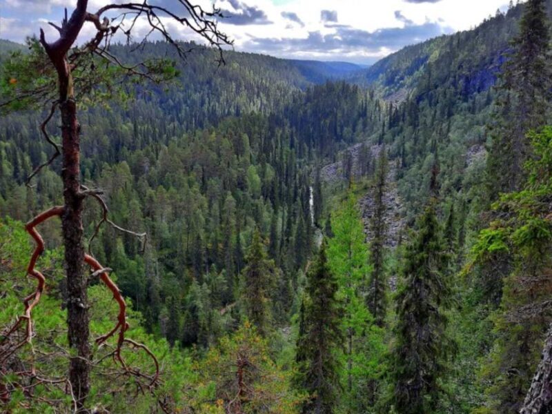 Rovaniemi: Korouoma Canyon Hike and Barbecue Experience - FAQ