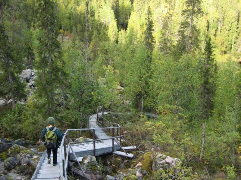 Rovaniemi: Korouoma Canyon & Waterfalls Tour with BBQ - Final Thoughts: Is It Worth It?