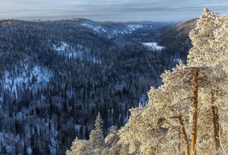 Rovaniemi: Korouoma National Park Canyon & Frozen Waterfalls - Transportation