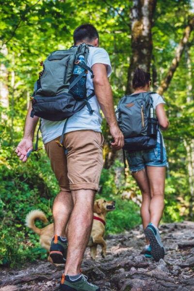 Rovaniemi: Magical Forest Hiking Adventure Tour & BBQ - Booking Your Adventure