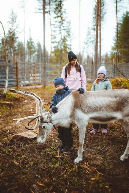 Rovaniemi: Meet Santa Claus and His Friends - Introduction to the Tour Experience