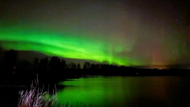 Rovaniemi: Night Tour in Search of the Aurora with BBQ - Good To Know