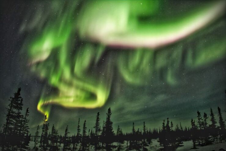 Rovaniemi: Northern Lights Adventure on a Snowmobile - Activity Details