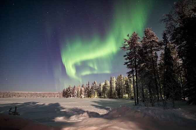 Rovaniemi Northern Lights and Arctic Swimming Adventure - Inclusions