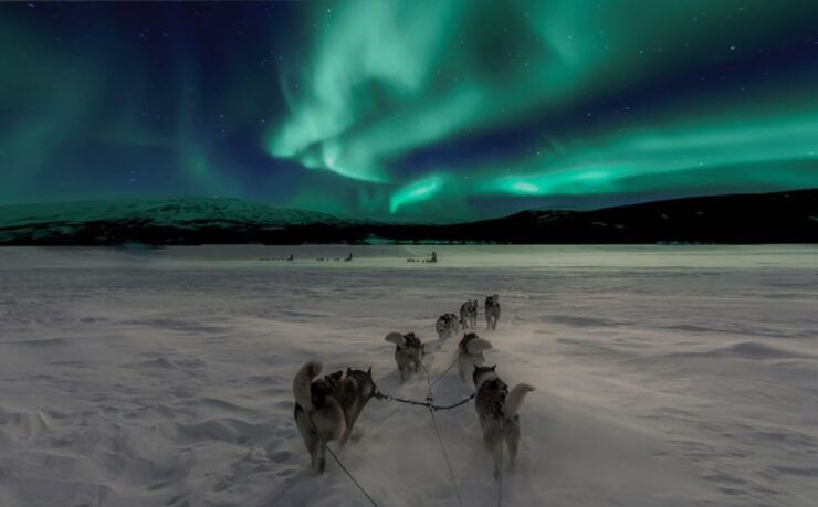 Rovaniemi: Northern Lights and Husky Sleigh Ride - Experience Highlights