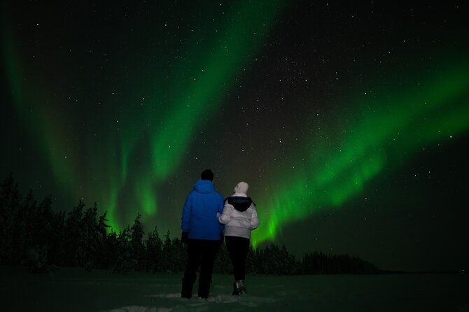 Rovaniemi: Northern Lights by Minibus - Tour Overview and Benefits