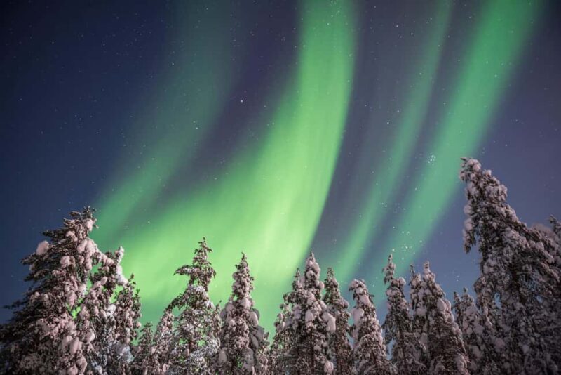 Rovaniemi: Northern Lights Hunt & Photography Experience - Good To Know