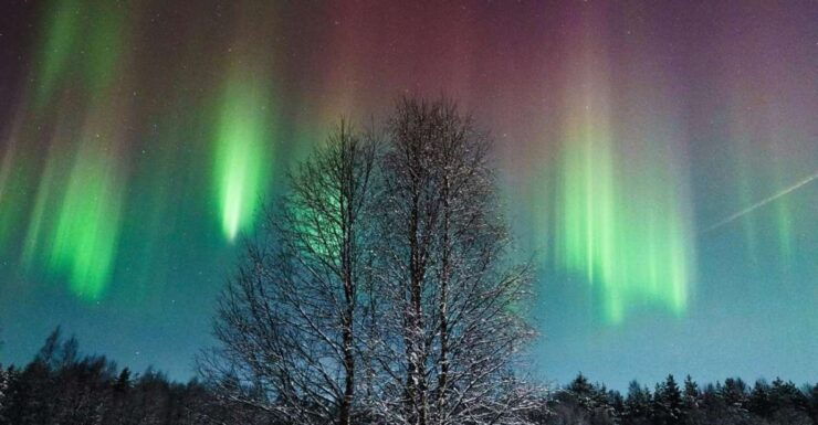 Rovaniemi: Northern Lights Hunt With a Photographer - Booking Information