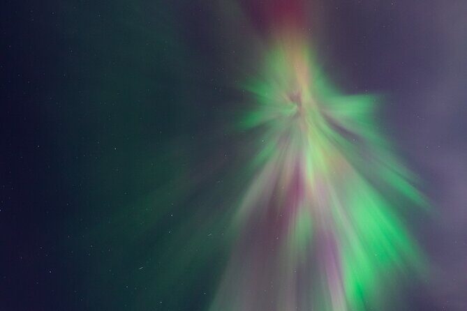 Rovaniemi: Northern Lights Pro Guaranteed - Unlimited (PRIVATE) - What the Reviews Say