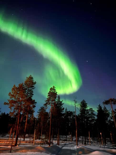 Rovaniemi: Northern Lights & Reindeer Experience - Who Will Love This Experience?