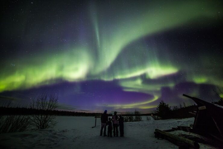 Rovaniemi: Northern Lights Sledge Ride - Experience Highlights