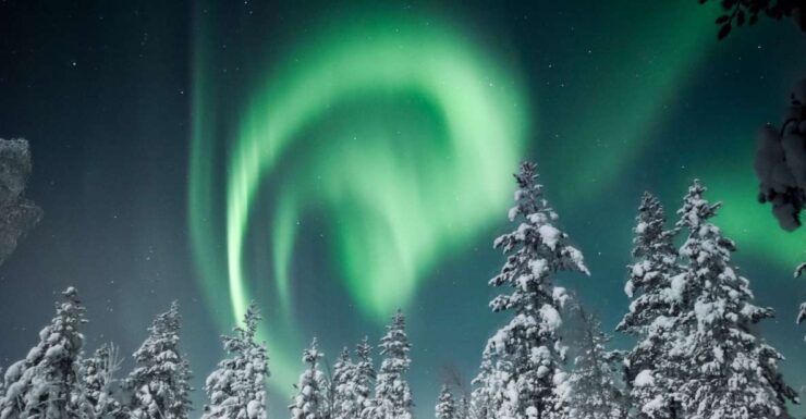 Rovaniemi: Northern Lights Sleigh Ride - Booking Details