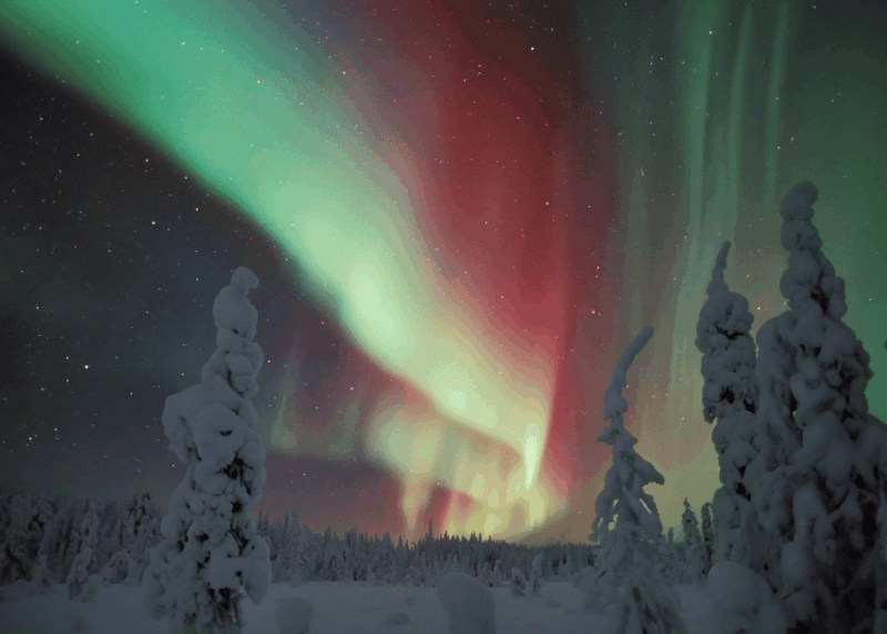 Rovaniemi: Northern Lights Snowmobile Safari with Campfire - Good To Know