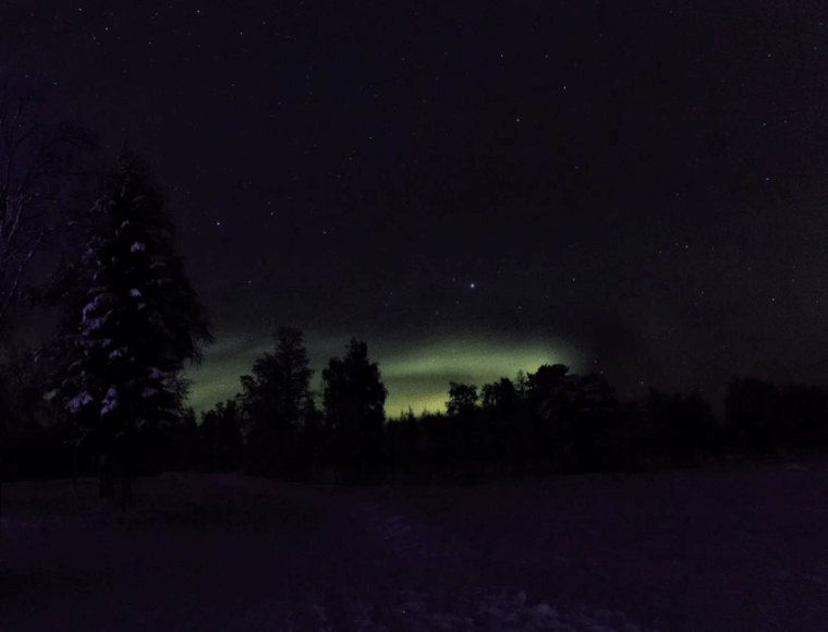 Rovaniemi: Northern Lights Snowmobile Safari with Campfire - Authentic Insights from Reviews