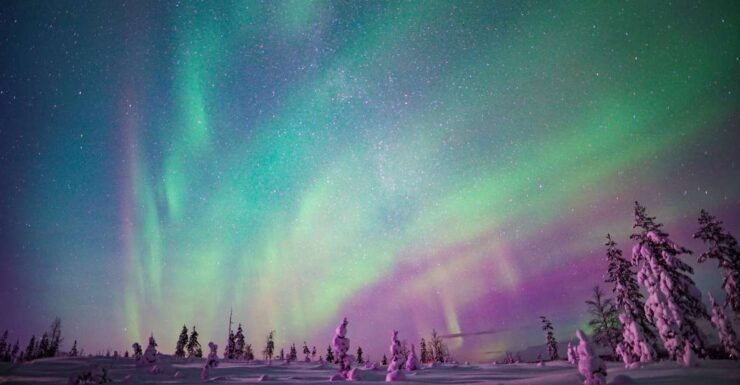 Rovaniemi: Northern Lights Snowmobile Sledge Ride - Activity Details